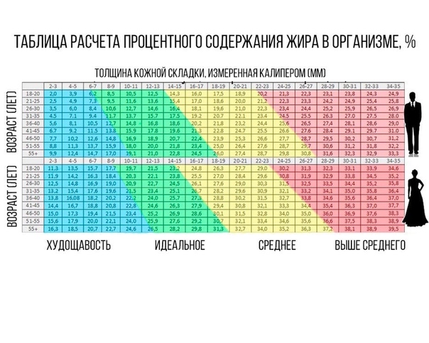 Процент подкожного жира фото