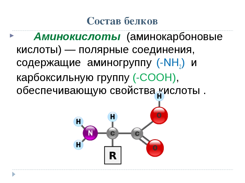 Состав основных аминокислот входят. Состав аминокислот. Аминокислоты строение и функции. Строение аминокислот. Аминокислоты входящие в состав белков.