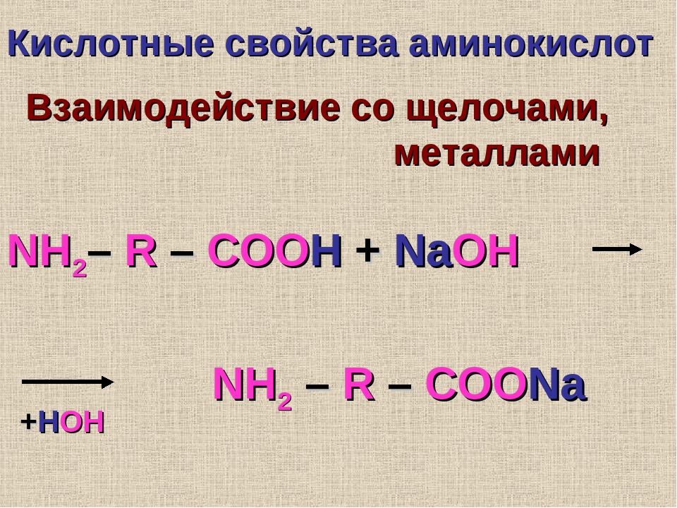 Аминокислоты химические свойства взаимодействие с соляной кислотой