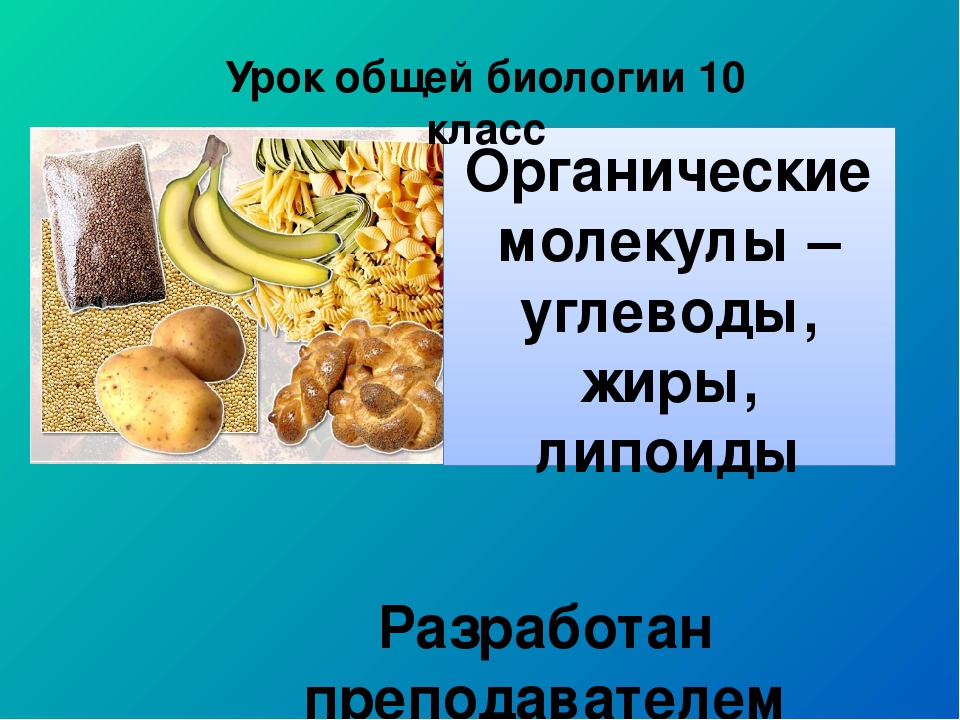 Углеводы картинки для презентации