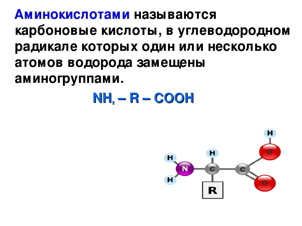 Презентация по аминокислотам