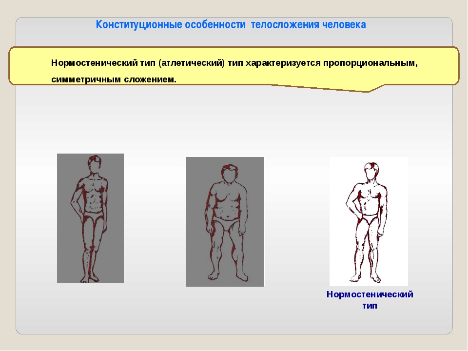 Шкаф человек телосложение