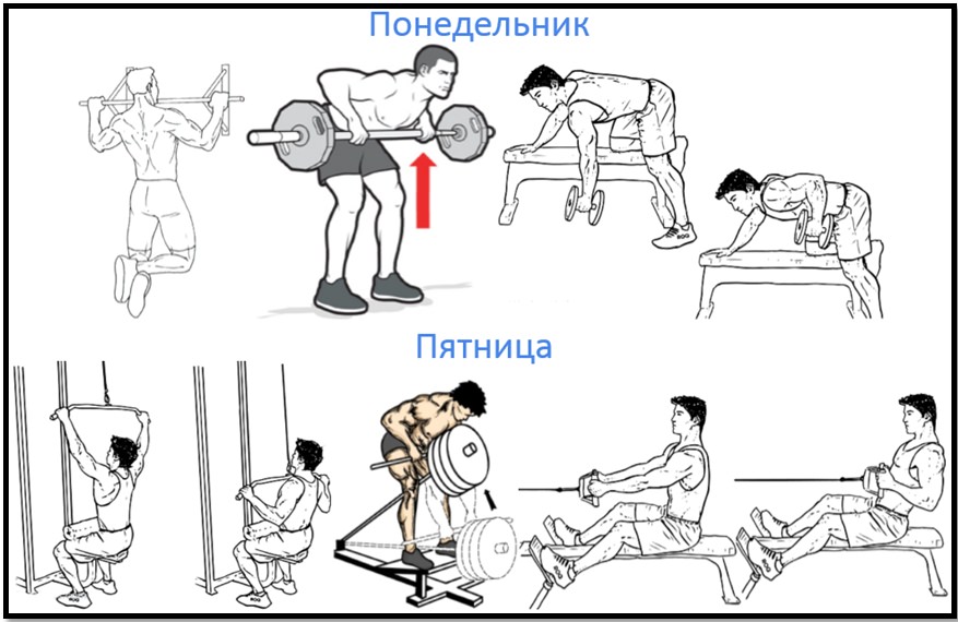 Тренировка в зале упражнения для мужчин