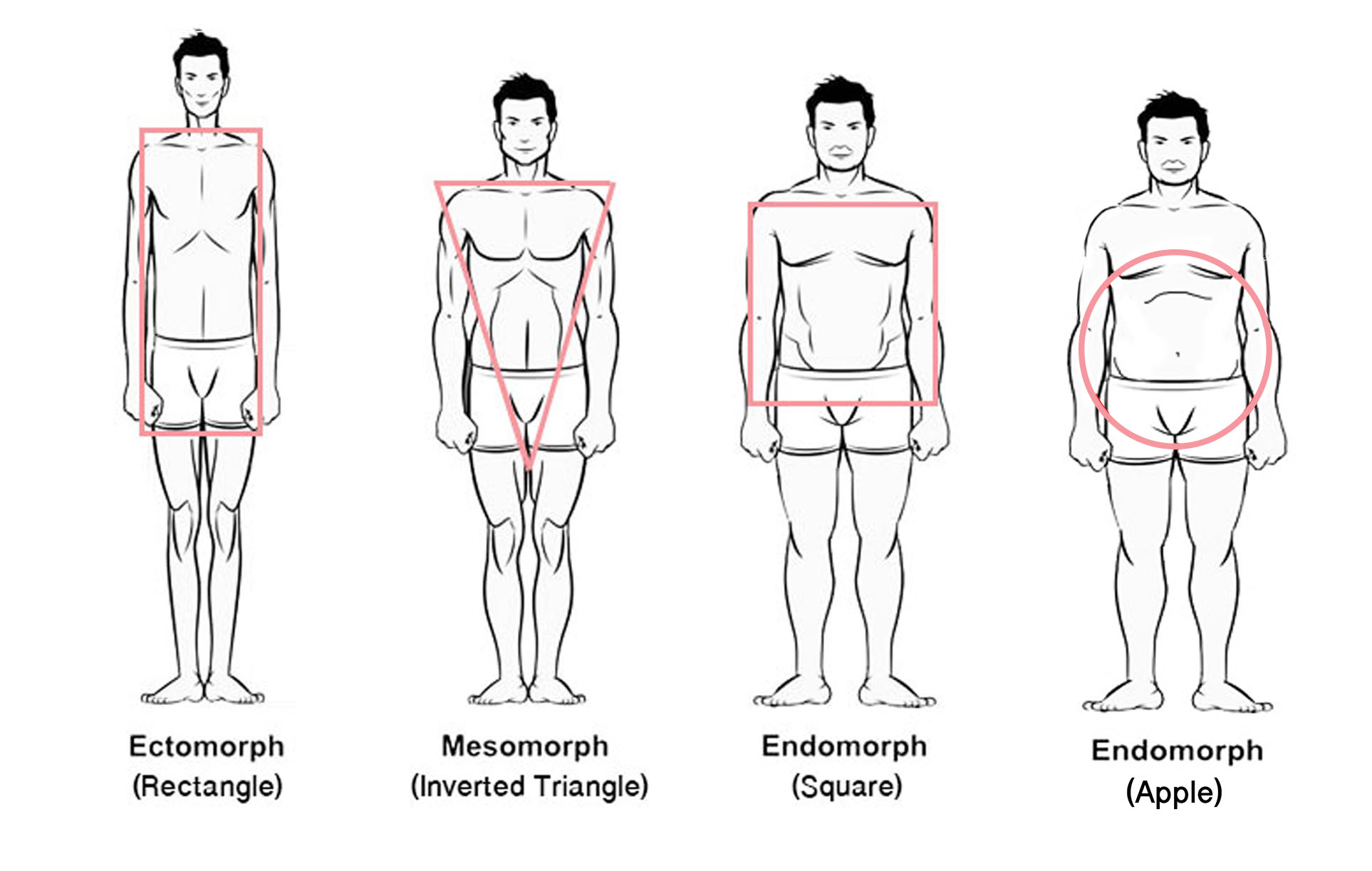 Виды мужчин. Типы мужских фигур. Типытелосложение мужчин. Типы телосложения у мужчин. Тип мужской фигуры треугольник.