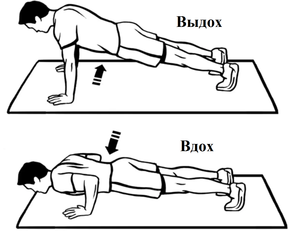 сгибание и разгибание рук в упоре лежа на гимнастической скамейке