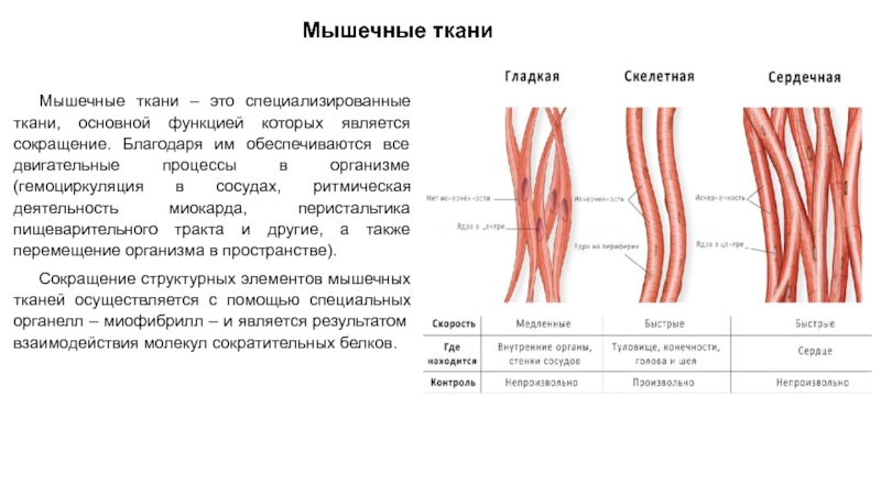 Схема строения текста