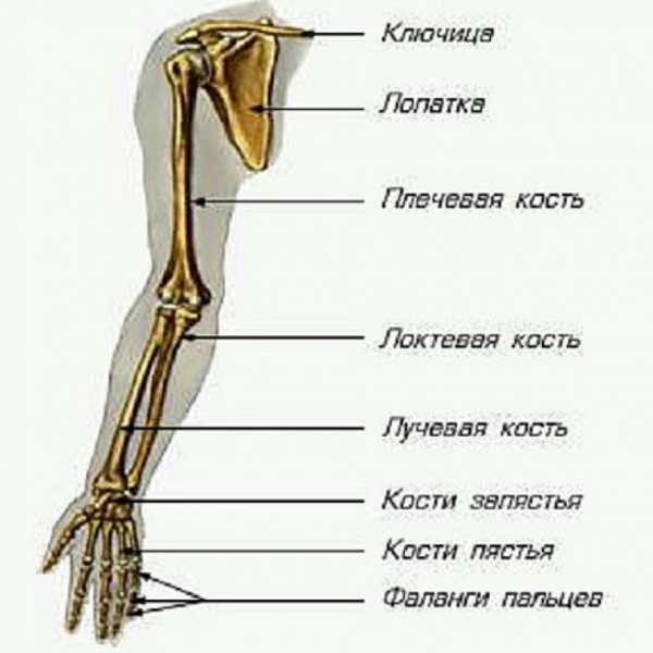 Как называется часть файла после точки