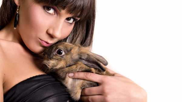 Девочка с кроликом фото