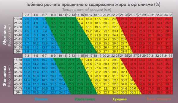 Процент подкожного жира фото