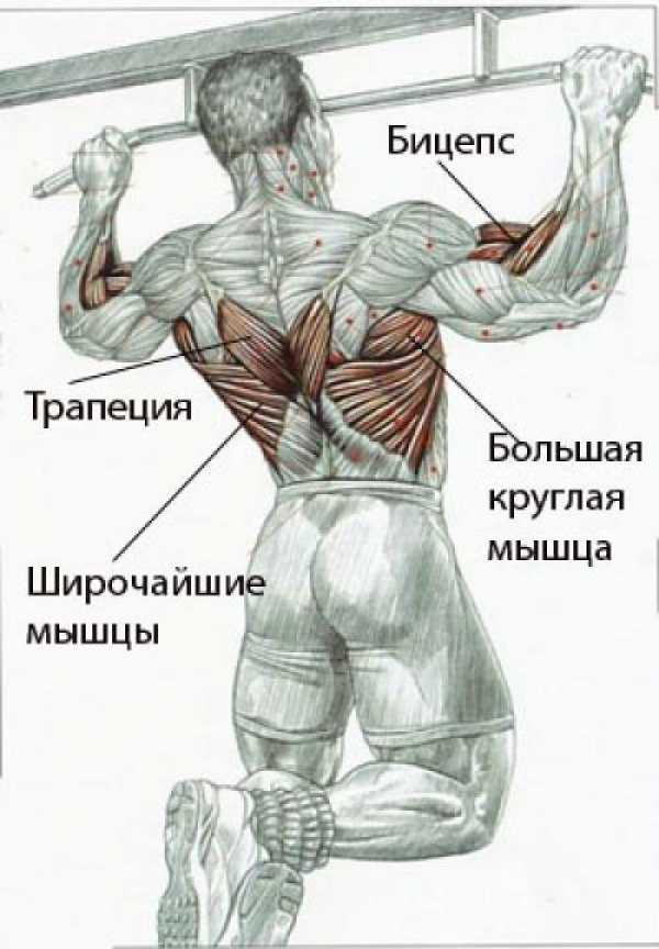 Какие есть виды подтягиваний с картинками