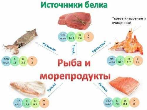 Определите по диаграмме сколько примерно граммов белков содержится в 100 г пирожка с мясом