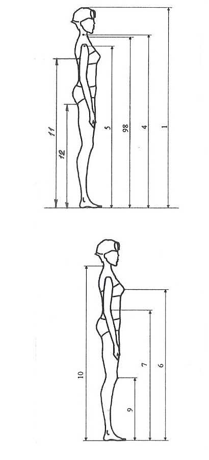 Картинка для замеров тела для женщин